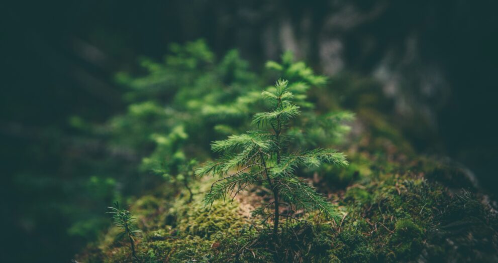 sessiz tatil yerleri